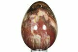 Colorful, Polished Petrified Wood Egg - Madagascar #211128-1